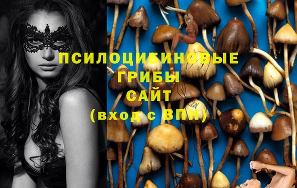 ECSTASY Балабаново