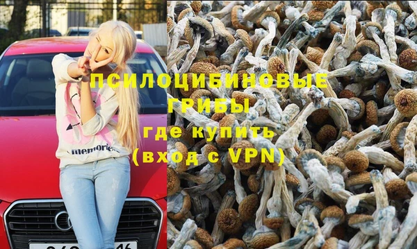 ALPHA PVP Баксан