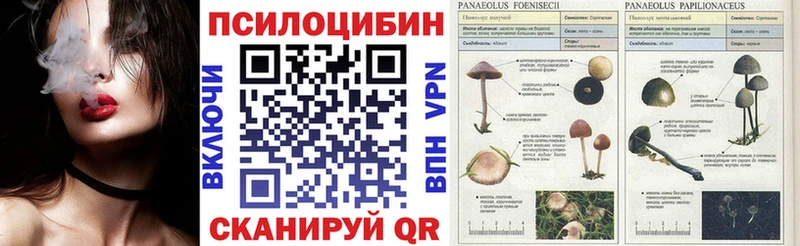 Псилоцибиновые грибы Magic Shrooms  Гдов 