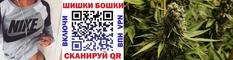 Бошки марихуана конопля  Гдов 